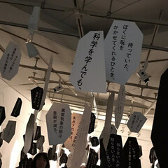 横浜美術館/詩人/最果タヒ/おでかけ 詩人の最果タヒさんの
詩の展示がおこなわ…(3枚目)