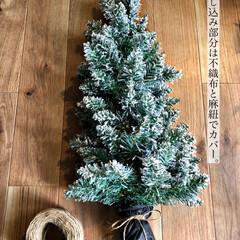 シンプルなクリスマスツリー/シンプルなクリスマス/クリスマスツリーリメイク/クリスマスツリー/クリスマスディスプレイ/こたつのある暮らし/... 去年まで飾っていたクリスマスツリーを壁掛…(5枚目)