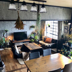 モニター/モダンデコ/シーリングライト/こたつのある暮らし/植物と暮らす/観葉植物のある暮らし/... 新しい照明が仲間入り。
モダンデコさん…