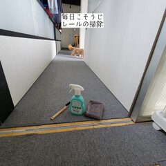 簡単こそうじ/お片付け/隙間ブラシ/無印良品/ウタマロクリーナー/レールの掃除/... こんばんは🌃
.
.
今日のこそうじは…