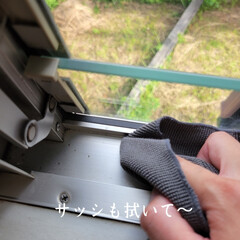 窓掃除 こんばんは🌃
.
.
昨日は1日奈良へ出…(9枚目)
