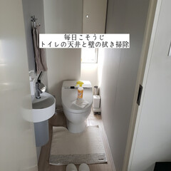 折りたたみテーブル/マイナポイント/洗って使えるペーパータオル/クエン酸泡スプレー/拭き掃除/トイレの天井と壁の拭き掃除/... こんばんは🌃
.
.
今日のこそうじは、…