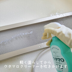 窓掃除 こんばんは🌃
.
.
昨日は1日奈良へ出…(4枚目)