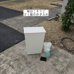 八百甚/フルーツサンド/簡単こそうじ/ウタマロクリーナー/ゴミ箱のお手入れ/毎日こそうじ/... こんばんは🌃
.
.
先日、友達のストー…