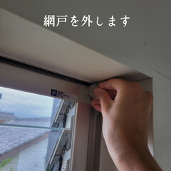 窓掃除 こんばんは🌃
.
.
昨日は1日奈良へ出…(2枚目)