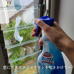 窓掃除 こんばんは🌃
.
.
昨日は1日奈良へ出…(7枚目)