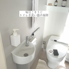 トイレ手洗い器の掃除のフォトまとめ Limia リミア