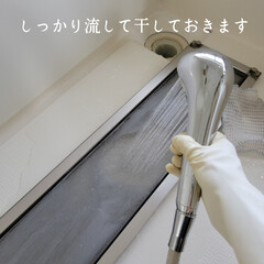 窓掃除 こんばんは🌃
.
.
昨日は1日奈良へ出…(6枚目)