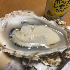 贈り物/フライ/アヒージョ/天ぷら/レンチン/冬の美味しいモノ/... 冬の美味しいもの♡牡蠣♡
レンチンした殻…