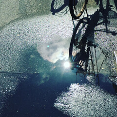 水たまり/おでかけワンショット/自転車 雨上がり(1枚目)