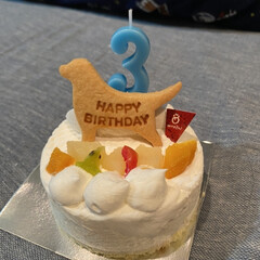 犬と暮らす/犬服/犬/誕生日ケーキ 今日は、ごんべ3歳の誕生日🎁🎂🐶おめでと…(2枚目)