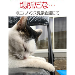フォロー大歓迎/住まい/不動産・住宅/工務店/猫/ネコ/... こんにちは!長野県茅野市の工務店「エルハ…