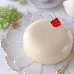 cheesecake/White/cake/Cafe/sweets/手作りおやつ/... 🤍ホワイトチーズケーキ

シンプルにホワ…(2枚目)
