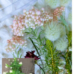 花の色が変化/花の色/花/ライスフラワー ♡ライスフラワー
かわいい"ピンク"が…