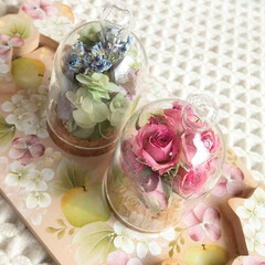 ガラスドーム/花/ミニバラ/ハンドメイド/雑貨/ドライフラワー ♡昨年の今日の一枚
アプリが勝手に出し…