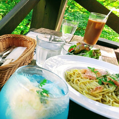 花/植物/植物園/おでかけ ♡六甲山へおでかけ
あまりに暑くて
四…