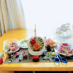 ドライフラワー/ハンドメイド/おしゃれ ♡ドライフラワー
♡ブッダナッツ
♡手作…