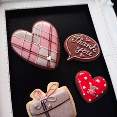 アイシングクッキー/手作りおやつ/手作りクッキー/バレンタイン/暮らしを楽しむ 素敵な日になりますように❤️
かわいい大…(1枚目)
