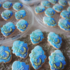 月/ブルー/手作りクッキー/アイシングクッキー スクールカラーにエンブレムの月
渡米する…(1枚目)