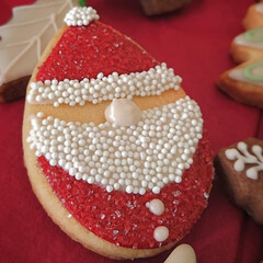 クリスマス/アイシングクッキー/我が家のクリスマス クリスマスまでのワクワクする時間
クッキ…(3枚目)