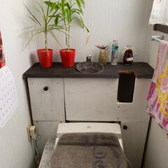 DIY/タンクレス風トイレ 普通のタンク式トイレが、タンクレストイレ…(1枚目)