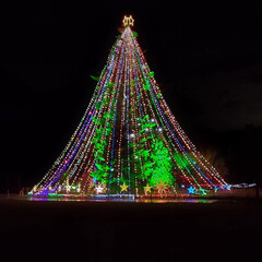 クリスマスツリー/宮ケ瀬湖/イルミネーション/クリスマス2019 神奈川の宮ケ瀬ダムイルミネーションの写真…(1枚目)