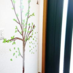 ウオールステッカー/玄関/ニトリ/DIY/ナチュラル/フェイクグリーン/... 玄関に木を植えました✨
ウオールステッカ…(1枚目)