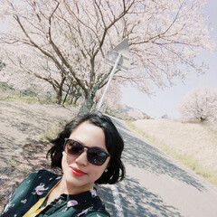 サクラ/桜/並木/さくら/SAKURA/CherryBlossom/... (10枚目)