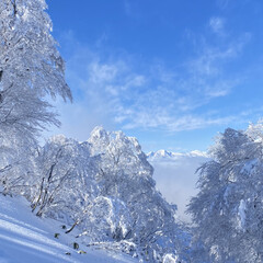 絶景/スキー好き/旅好き/二人暮らし/アラフォー夫婦/雪山/... 話が前後しますが
今シーズン初滑りに野沢…