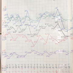 体組成計グラフ 2、2018年〜、体組成計グラフ。藤田哲…(6枚目)