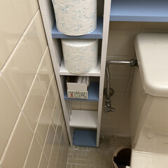 収納棚/トイレ/ニトリ/ダイソー/セリア/DIY/... 以前作ったトイレの隙間棚棚を増やして色を…(5枚目)