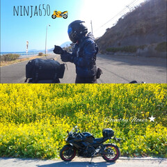 景色/春/春色/ツーリング/大型バイク/バイク/... 久しぶりにツーリング😊
菜の花が綺麗でし…(1枚目)