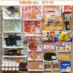 冷凍保存/わたしのごはん/下処理/1週間1万円/買い物/夕飯/... 《8/6〜8/12の買い出し&夕飯》
先…