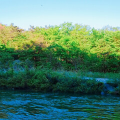 川/自然/はじめてフォト投稿 先日釣りについて行った時に撮った1枚です…(1枚目)