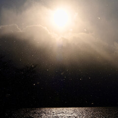 「支笏湖　逆光で試し撮り　雪の中」(1枚目)
