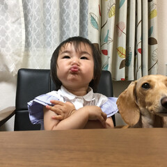 赤ちゃん/ダックス/犬/令和元年フォト投稿キャンペーン 犬と一緒に！(1枚目)