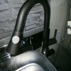 洗面台/シャワー/水栓/ステンレス/DIY わが家初のシャワー水栓。
洗面台として使…(3枚目)
