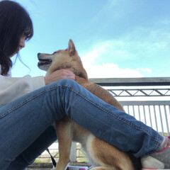 おでかけワンショット 愛犬ソックスと羽生ダム湖に行った時の写真…(1枚目)