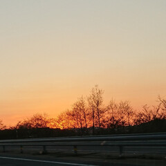 おでかけワンショット 小樽行った帰りの写真です
夕日がとてもき…(1枚目)
