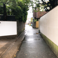 雨季ウキフォト投稿キャンペーン 鎌倉の由比ヶ浜駅近くの裏路地
( ´ ▽…(1枚目)