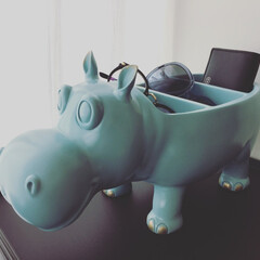 雑貨/収納グッズ/収納用品/置物/インテリア/リビング収納/... Hippoの小物入れ。
置いておくだけで…