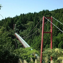 吊り橋/おでかけワンショット 結構大きな吊り橋で迫力がありました！
(1枚目)