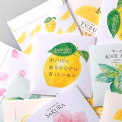 デイリーアロマジャパン/DAILYAROMAJAPAN/香りのある暮らし/アロマ/入浴剤/半身浴/... 瀬戸内の海をみながら育ったレモン🍋
今…