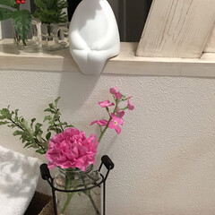 +d 一輪挿し フラワーマン シッティング d-900 | +d(花瓶、花器)を使ったクチコミ「お花の定期便
ブルーミーライフをはじめま…」(2枚目)