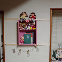 あみぐるみ/Seria/棚/ハンドメイド/DIY 昨日の夜この棚を取り付けしました。棚はS…(1枚目)