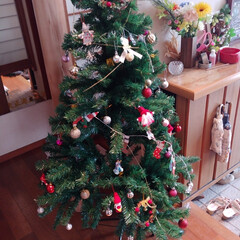 クリスマスツリー/玄関/クリスマス 昨日は休みだったので、
玄関にクリスマス…(1枚目)