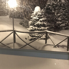 フォロー大歓迎/ウッドデッキ/照明 夜から降り出した雪。
明日は雪かきから1…(1枚目)