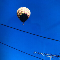 ブルー 近所で偶然空を見上げたら、真っ青な綺麗な…(1枚目)