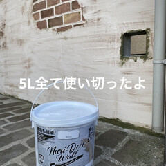 Nuri-Deco-Wall （ヌリ・デコ・ウォール） | アサヒペン(ペンキ、塗料)を使ったクチコミ「LIMIAモニタープレゼントに当たりまし…」(2枚目)