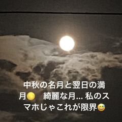 カエル/七福神/月/多肉植物/ガーデニング 中秋の名月！翌日の満月🌕月は綺麗に見えた…(6枚目)